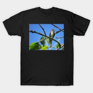 Eastern Wood-Pewee No.2 T-Shirt